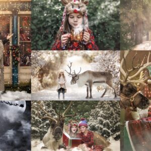 Christmas Wonderland Pkg 1