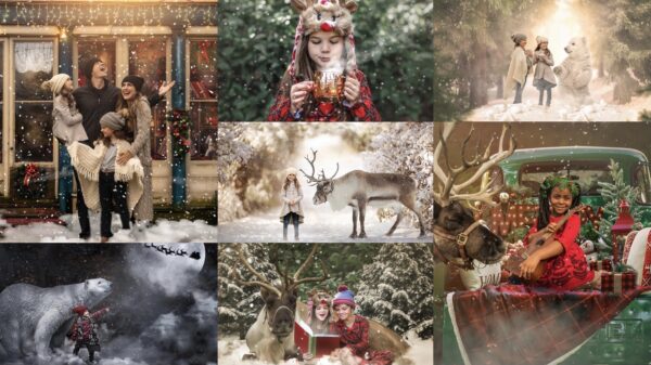Christmas Wonderland Pkg 3