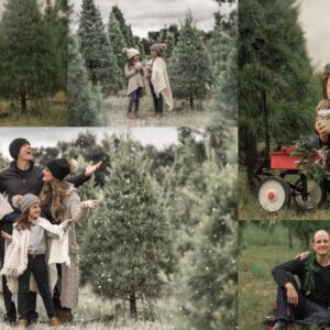 Christmas Tree Farm pkg 1