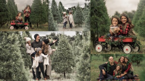 Christmas Tree Farm pkg 2
