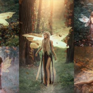 Enchanted Fairy pkg 1
