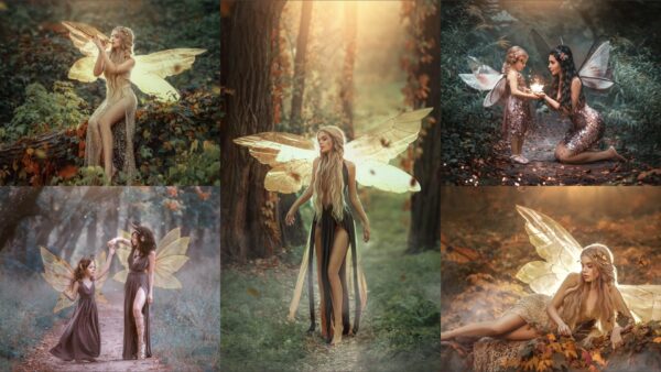 Enchanted Fairy pkg 3