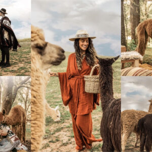 Alpaca & Bohemian Styled Mini Photoshoots pkg 1