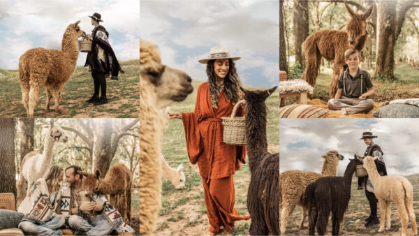 Alpaca & Bohemian Styled Mini Photoshoots pkg 3